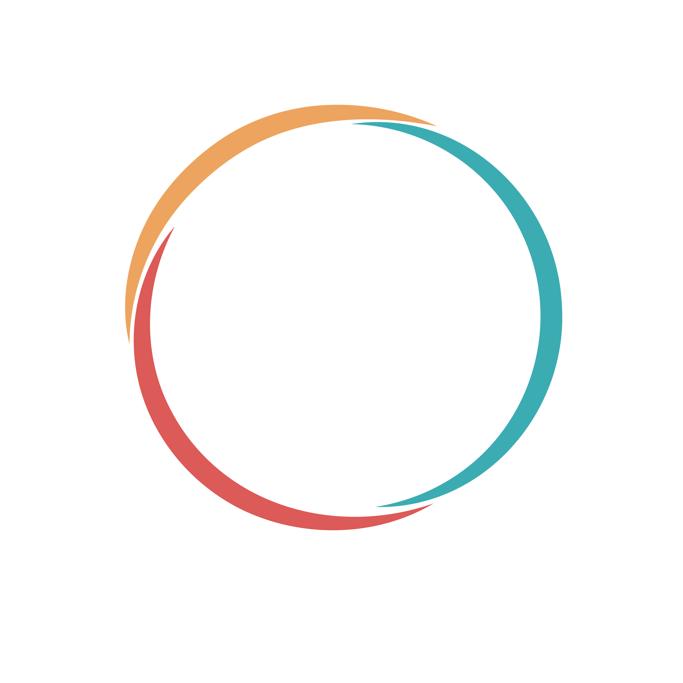 IDC Logo